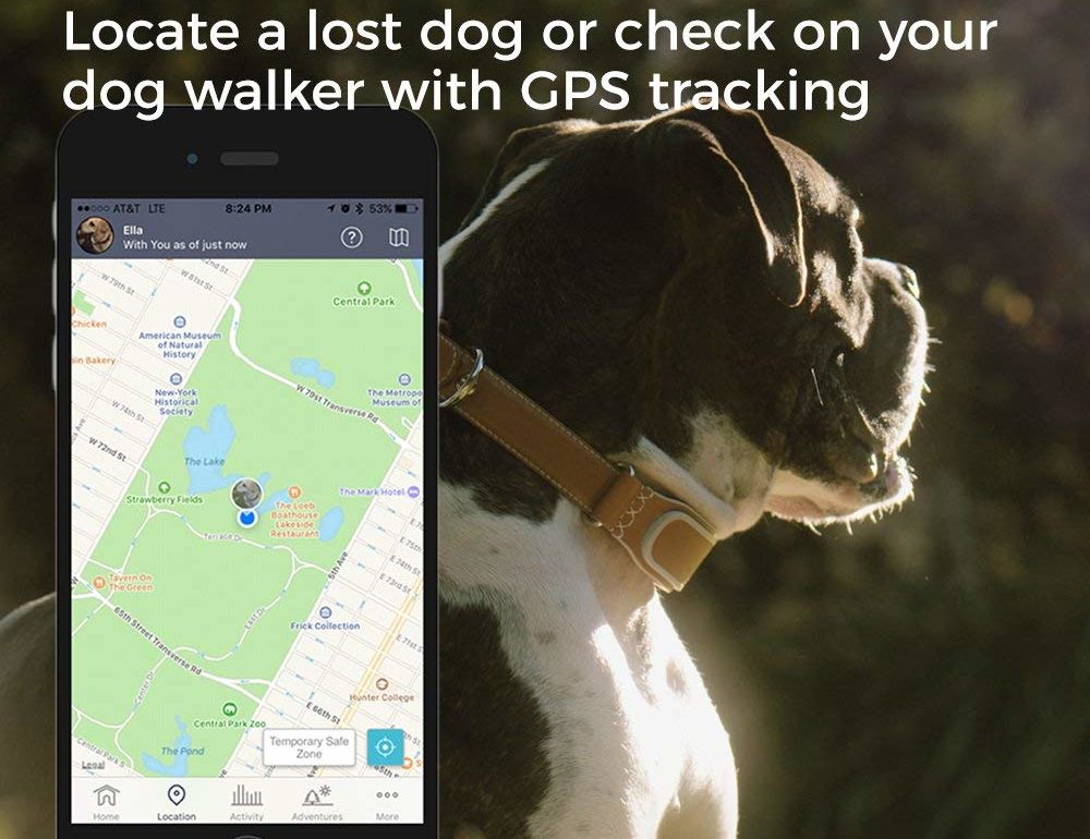 obroża dla psa z GPS